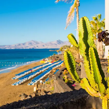 Lejlighed Jardines 1 Puerto del Carmen (Lanzarote)